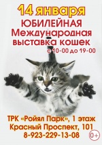 Юбилейная выставка кошек 14 января.